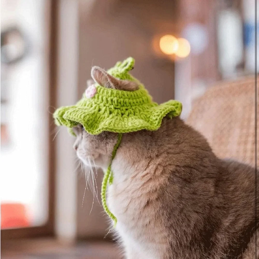 Green Crochet Cat Frog Hat with Pink Accents - Picture 4 of 4
